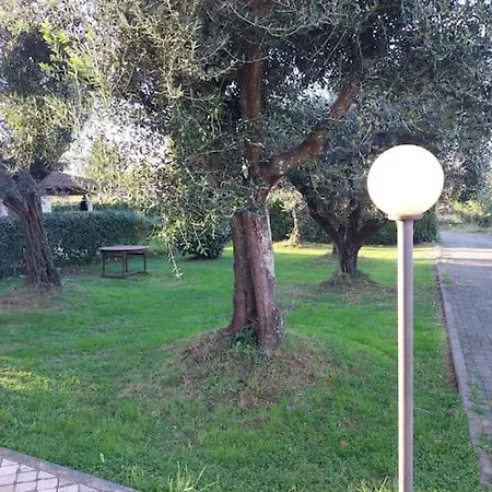 Terraemaris Cinquale