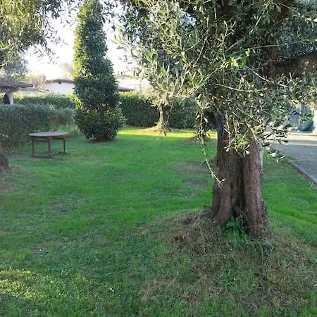 Terraemaris Cinquale